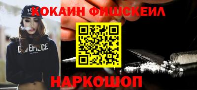 крисы Кулебаки
