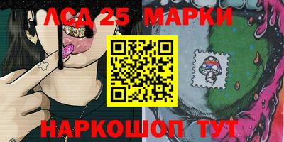 крисы Кулебаки