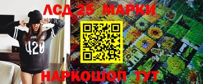 крисы Кулебаки