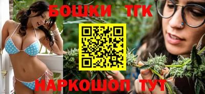 крисы Кулебаки