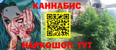 крисы Кулебаки