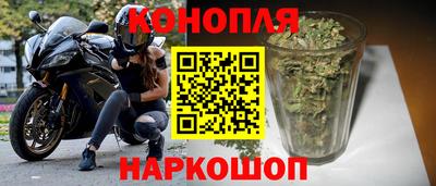 крисы Кулебаки