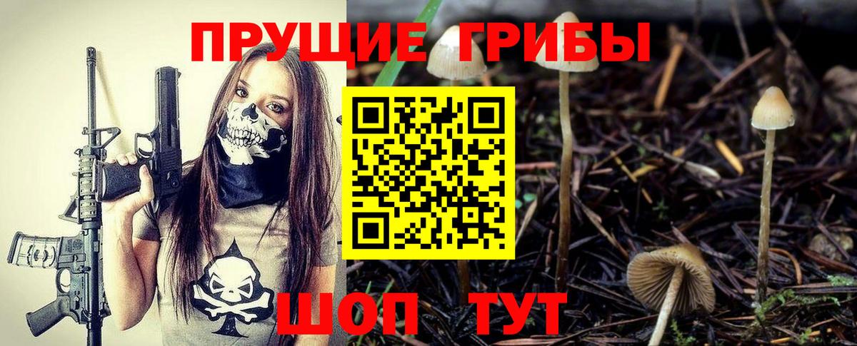 Псилоцибиновые грибы Psilocybine cubensis Шелехов